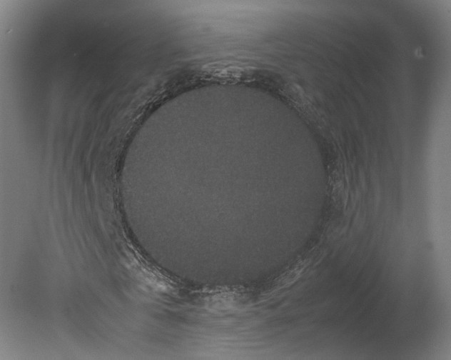 X0000080810769200701021315