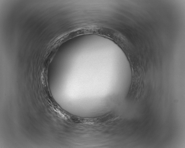 X0000080810773200701021315