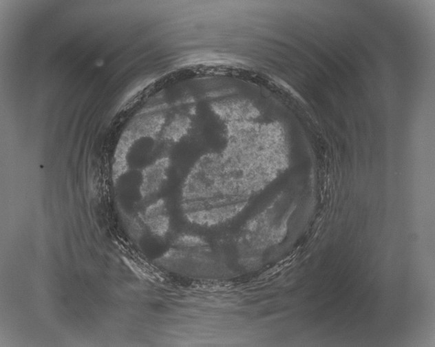 X0000080810775200701021315