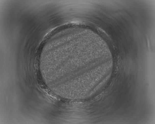 X0000080810776200701021315