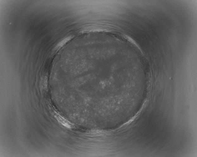 X0000080810777200701021315