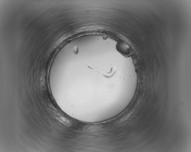 X0000080810778200701021315