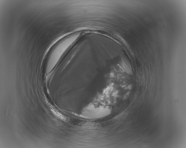 X0000080810779200701021315