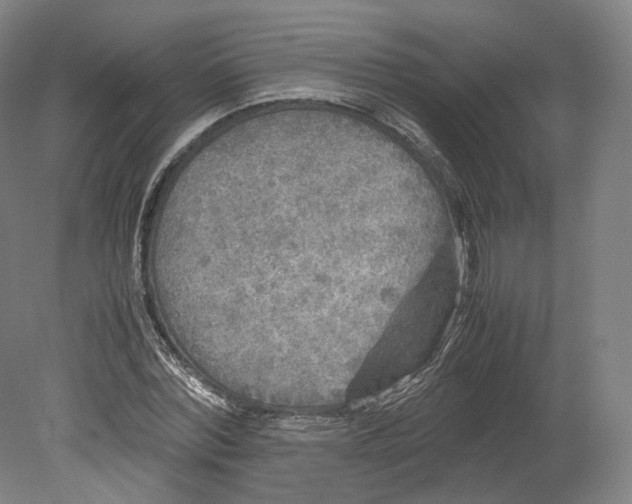 X0000080810780200701021315