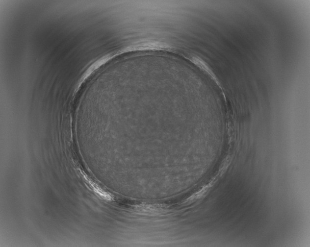 X0000080810781200701021314