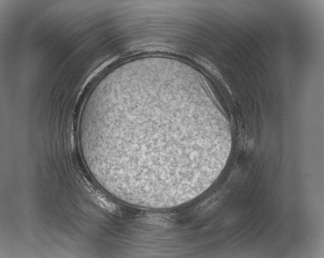 X0000080810782200701021314