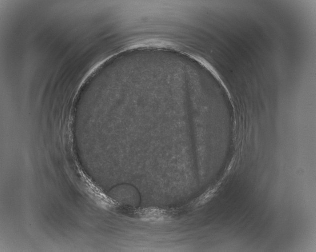 X0000080810783200701021314