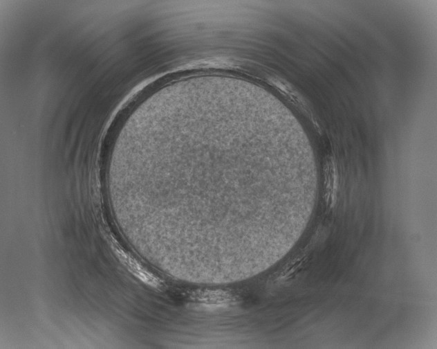 X0000080810784200701021314