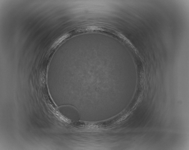 X0000080810785200701021314