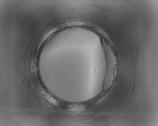 X0000080810786200701021314