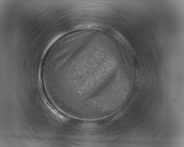 X0000080810788200701021314