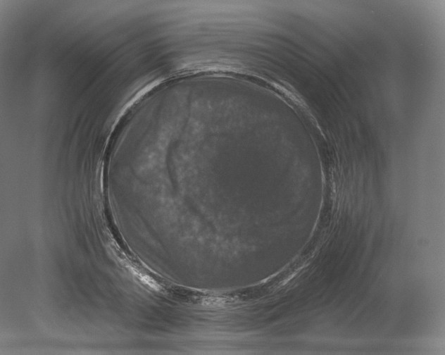 X0000080810790200701021314