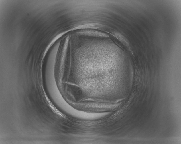 X0000080810792200701021314