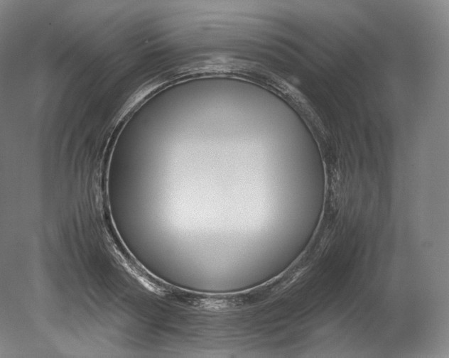 X0000080810794200701021314