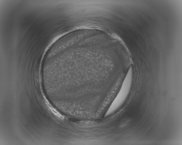 X0000080810795200701021314