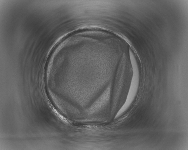 X0000080810799200701021314