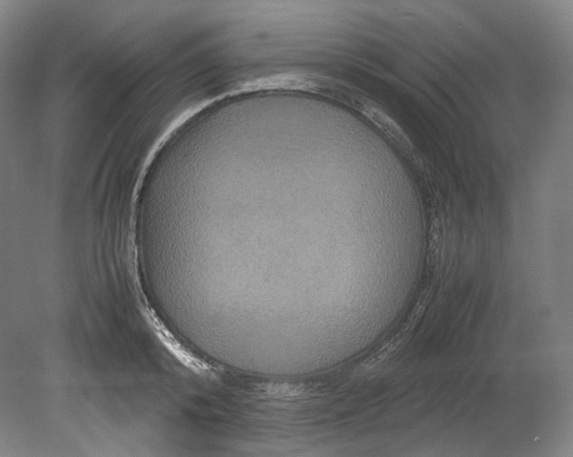 X0000080810800200701021314