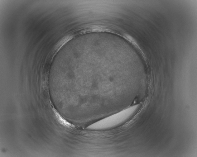 X0000080810801200701021314