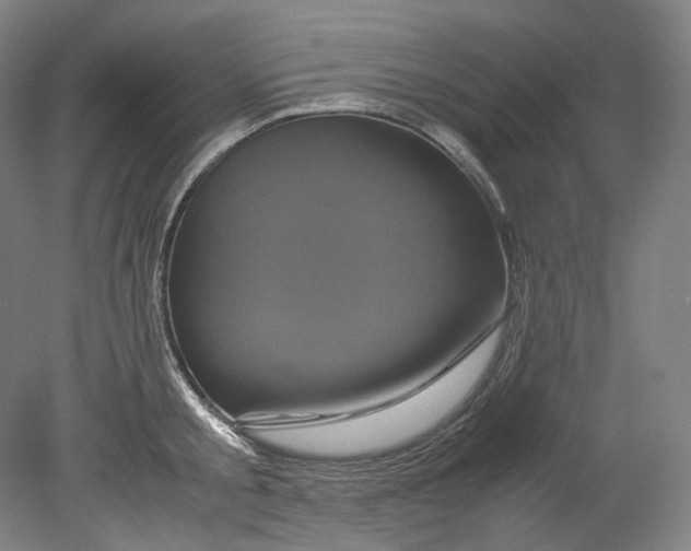 X0000080810805200701021314