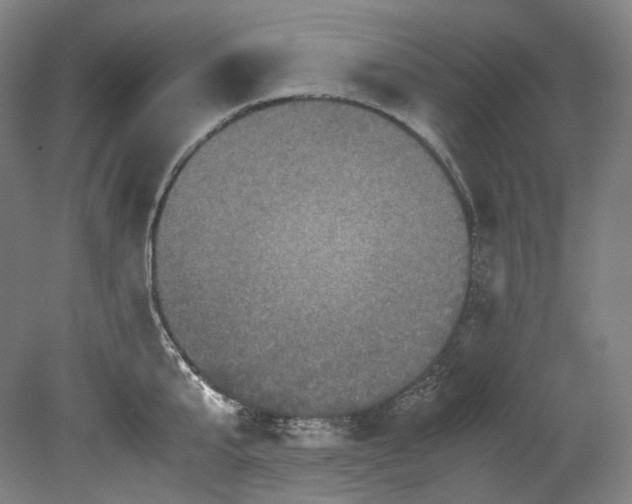 X0000080810807200701021314