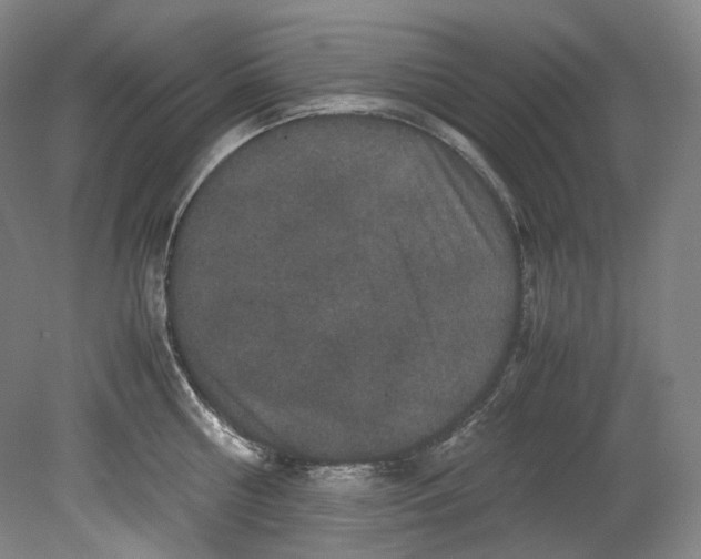 X0000080810810200701021314