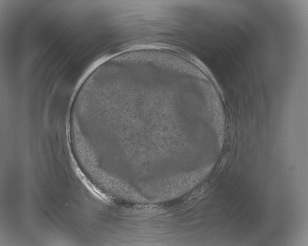 X0000080810811200701021314