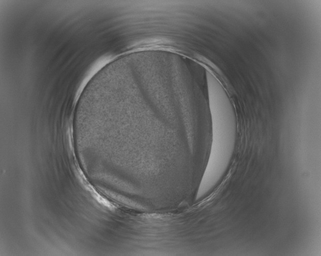 X0000080810812200701021314