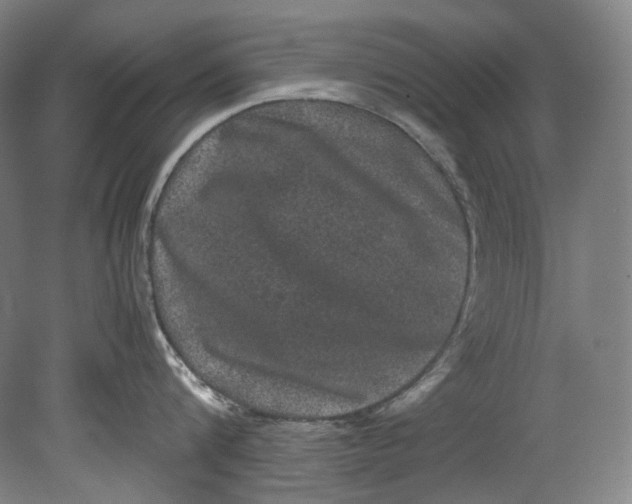 X0000080810816200701021314