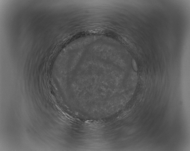 X0000080810817200701021313