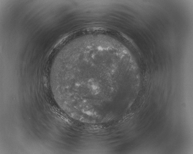 X0000080810823200701021313