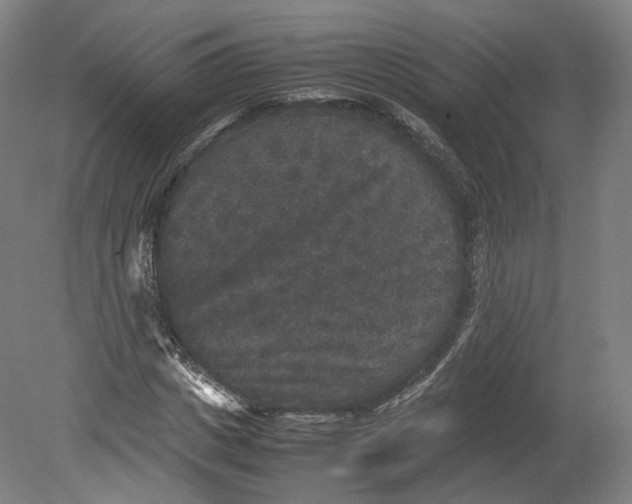 X0000080810825200701021313