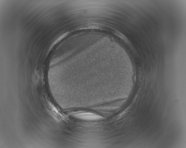 X0000080810826200701021313