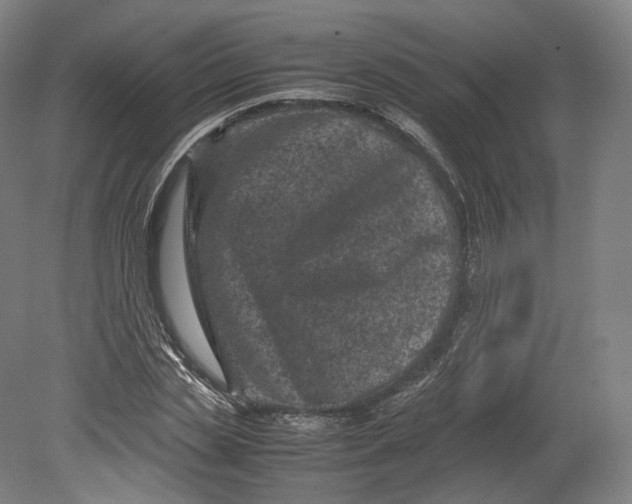 X0000080810829200701021313