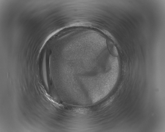 X0000080810830200701021313