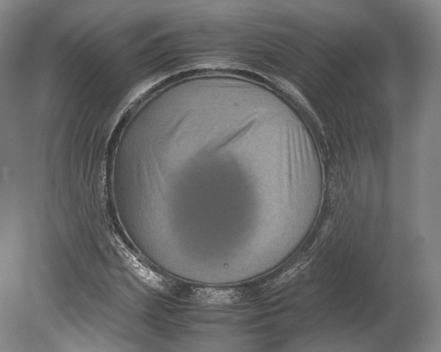 X0000080810831200701021313