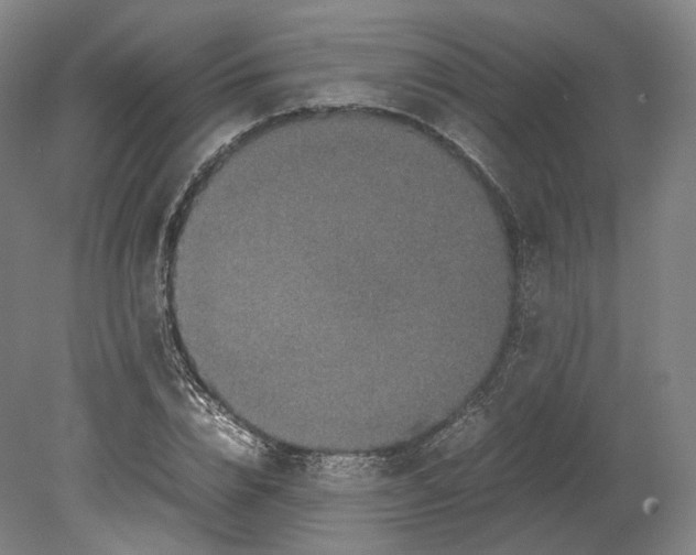 X0000080810832200701021313