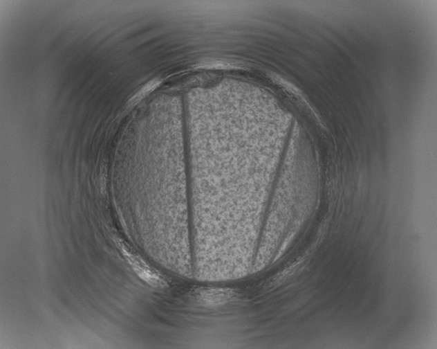 X0000080810833200701021313