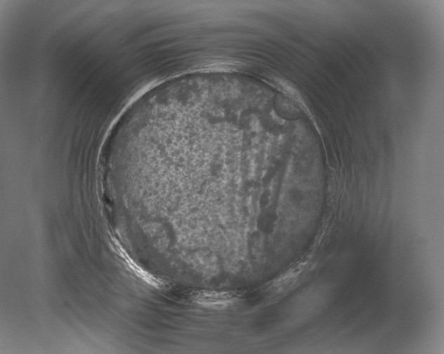 X0000080810835200701021313