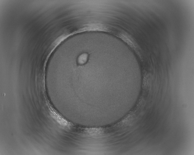 X0000080810836200701021313