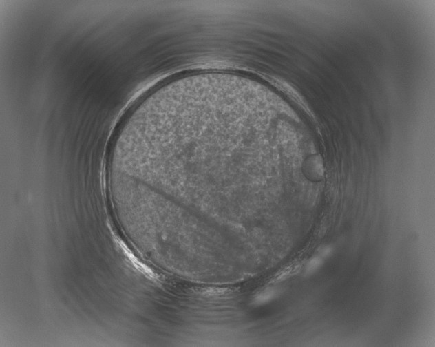 X0000080810839200701021313