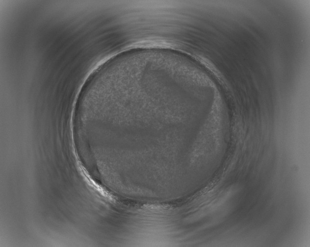 X0000080810840200701021313