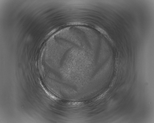 X0000080810841200701021314