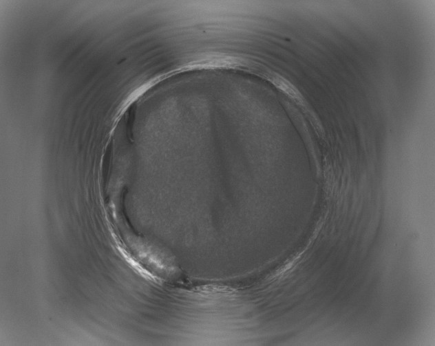 X0000080810842200701021314