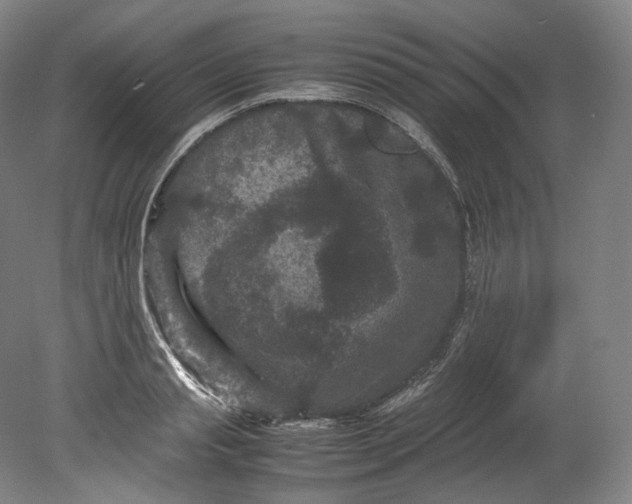 X0000080810845200701021314