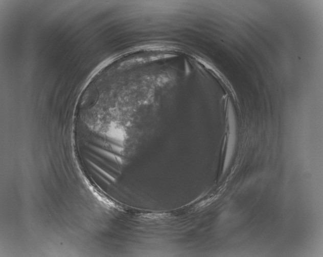 X0000080810853200701021314