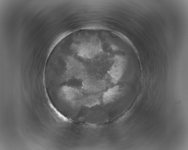 X0000080810855200701021314