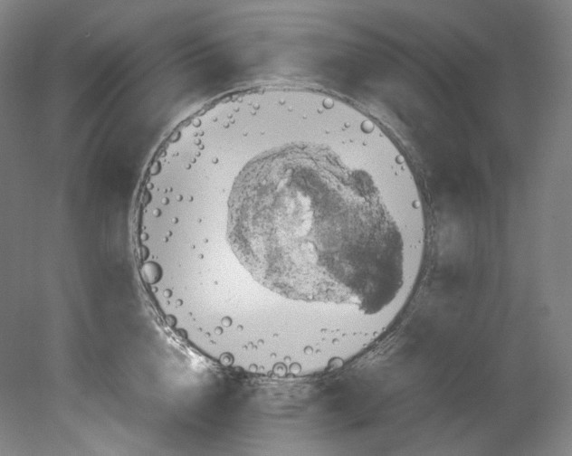 X0000080810856200701021314