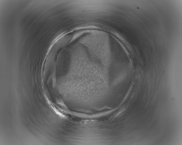 X0000080810858200701021314