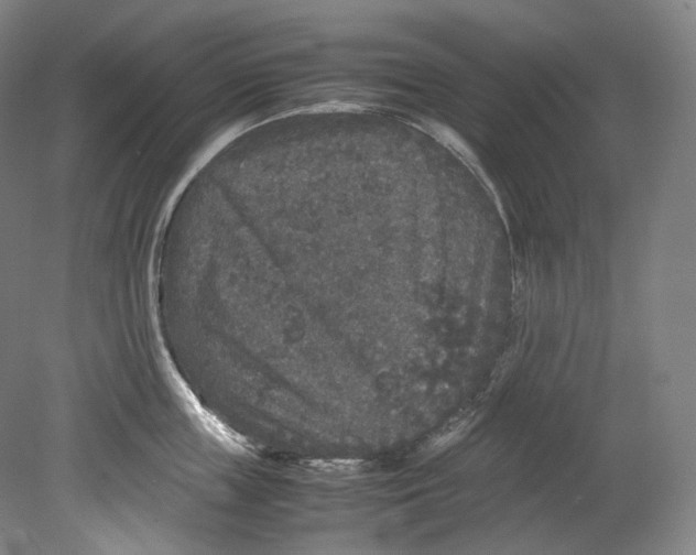 X0000080810859200701021314