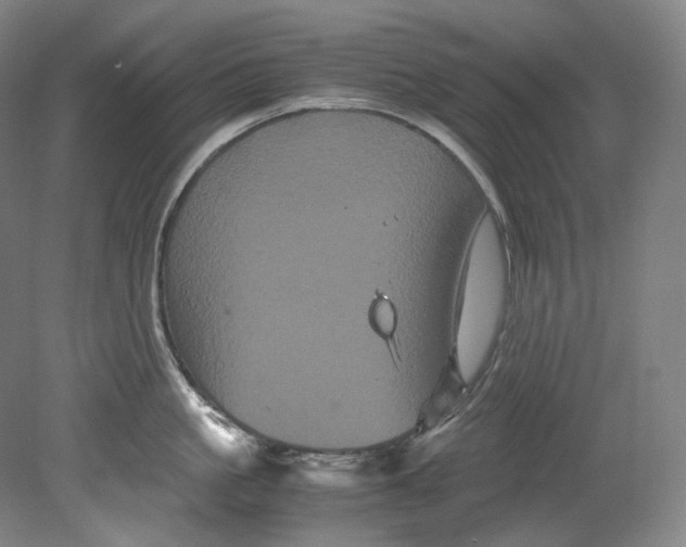 X0000080810861200701021314